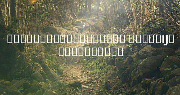 ��������ֺϻ�������� �����Ĳ�����������